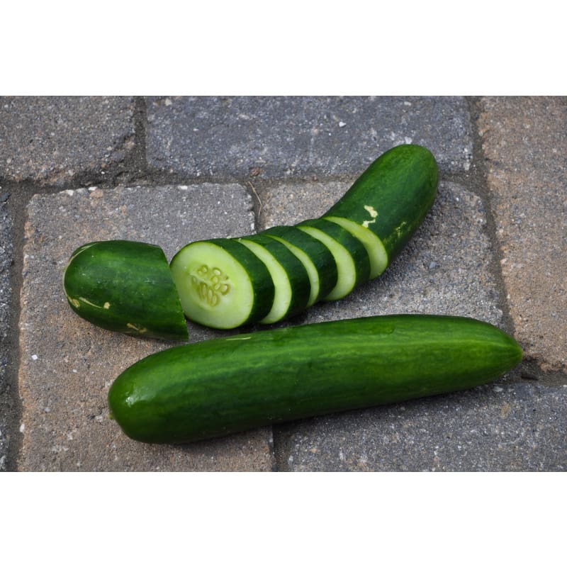 Muncher Cucumber (60 Days)