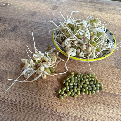Mung Bean Sprouting Seed (Organic)