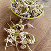 Mung Bean Sprouting Seed (Organic)