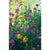 NORTH AMERICAN WILDFLOWER MIX 1 OZ