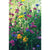 North American Wildflower Mix - Flowers
