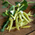 Opal Creek Snap Pea (70 Days) - Vegetables