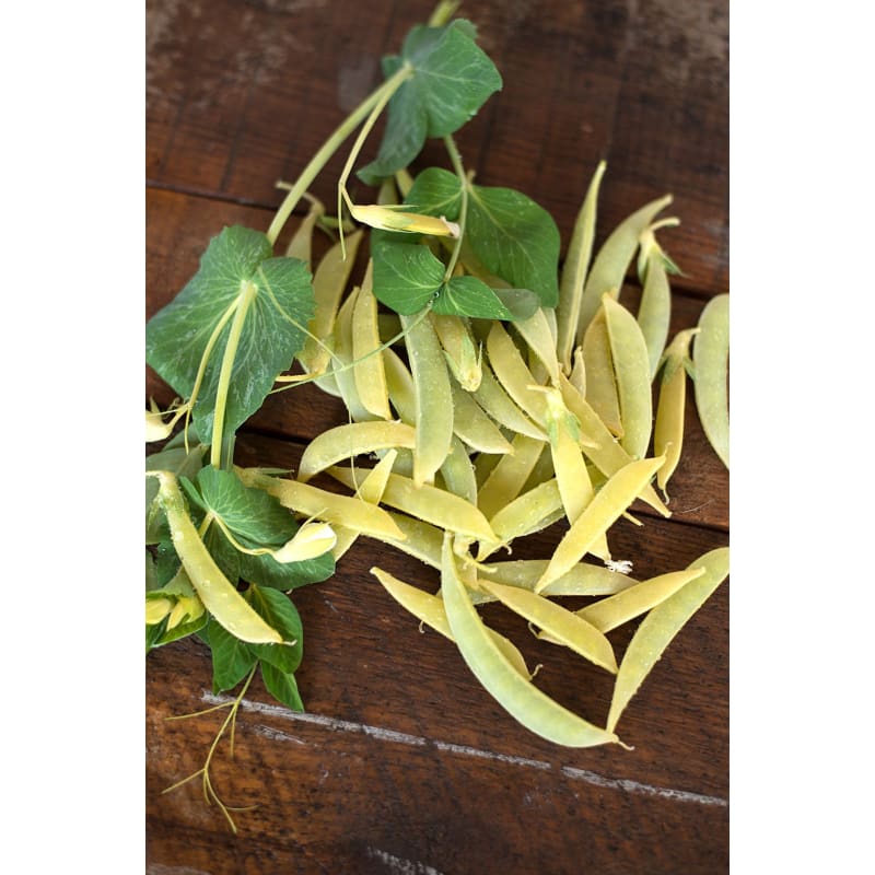 Opal Creek Snap Pea (70 Days) - Vegetables
