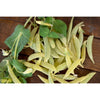 Opal Creek Snap Pea ( 70 Days ) - Vegetables