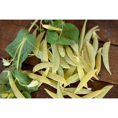 Opal Creek Snap Pea ( 70 Days ) - Vegetables
