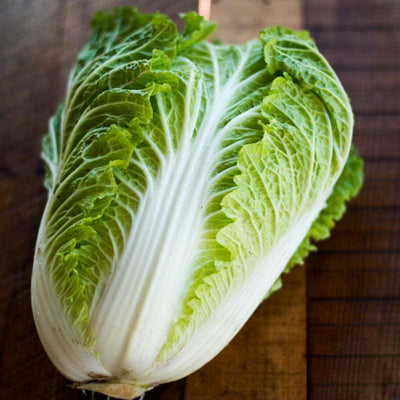 Optiko Chinese Cabbage (F1 Hybrid 75 Days) - Vegetables
