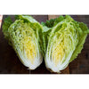 Optiko Chinese Cabbage (F1 Hybrid 75 Days) - Vegetables