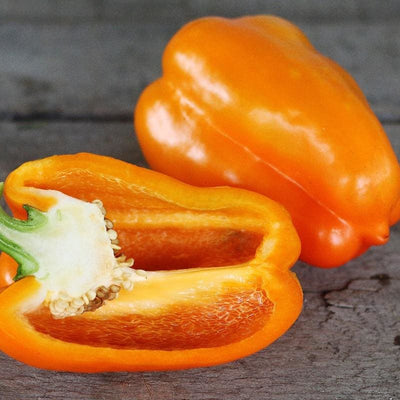 Orange Sun Pepper (81 Days) - Vegetables