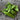 Oregon Giant Snow Pea (65 Days) - Vegetables