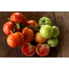 Oregon Spring Tomato (68 Days) - Vegetables