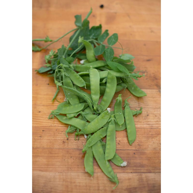 Oregon Sugar Pod Ii Pea (68 Days) - Vegetables