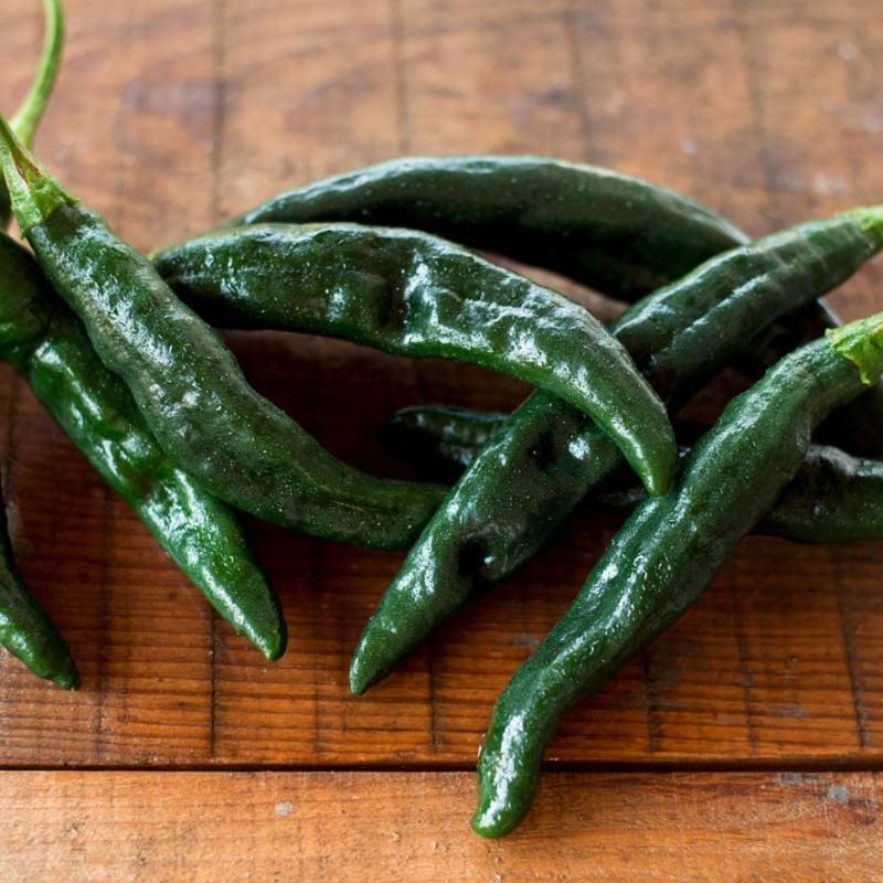 Pasilla Bajio Hot Pepper (Heirloom 80 Days) – Pinetree Garden Seeds
