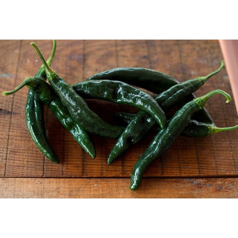 Pasilla Bajio Hot Pepper (Heirloom 80 Days) – Pinetree Garden Seeds