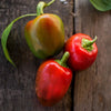 Pimento Pepper (75 Days) - Vegetables