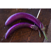 Pingtung Long Eggplant (Heirloom 66 Days) - Vegetables