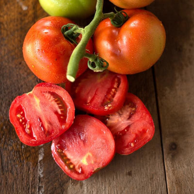 Polbig Tomato (F1 Hybrid 56 Days) - Vegetables