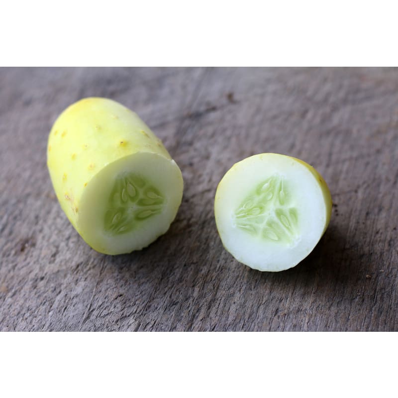 Poona Kheera Cucumber (Heirloom 53 Days) - Vegetables