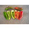 Pot-a-Peno Pepper (F1 Hybrid 45-60 Days) - Vegetables