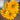 Prairie Sun Rudbeckia - Flowers