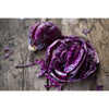 Primero Cabbage (F1 Hybrid 72 Days) - Vegetables