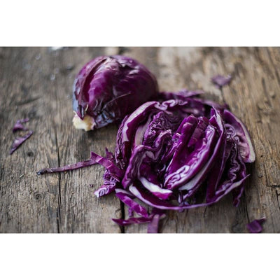 Primero Cabbage (F1 Hybrid 72 Days) - Vegetables