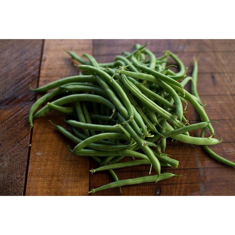 Provider Bush Bean (50 Days) - Vegetables