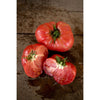 Prudens Purple Tomato (Heirloom 72 Days) - Vegetables