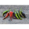 Purple Cayenne Pepper (70 Days) - Vegetables
