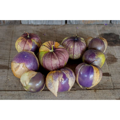Purple Tomatillo (Heirloom 100 Days) - Vegetables