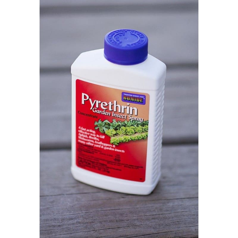 Pyrethrin Garden Insect Spray – Pinetree Garden Seeds