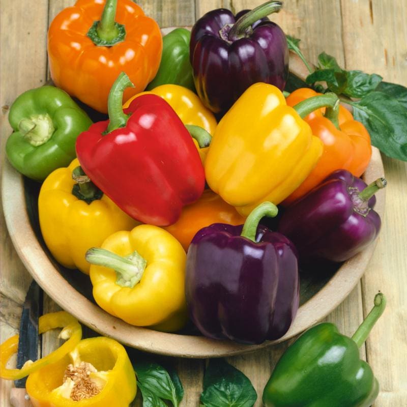 Rainbow Blend Pepper (Organic 60-90 Days) - Vegetables