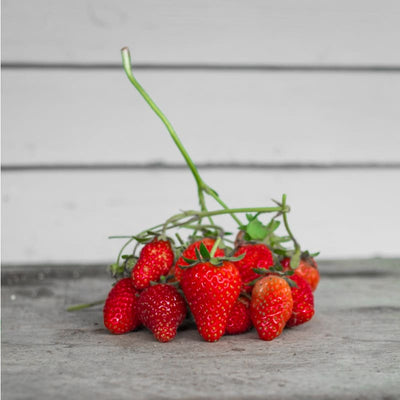 Rainbow Treasure Strawberry ( F1 Hybrid ) - Vegetables