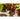 Red Ace Beet (F1 Hybrid 51 Days) - Vegetables