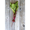 Red Cloud Beet (F1 Hybrid 50 Days) - Vegetables