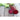 Red Cloud Beet (F1 Hybrid 50 Days) - Vegetables