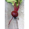 Red Cloud Beet (F1 Hybrid 50 Days) - Vegetables