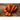 Red Cored Chantenay Carrot (Heirloom 75 Days) - Vegetables