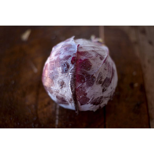 Cabbage Seeds – Page – Pinetree Garden Seeds