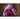 Red Express Cabbage (60 Days) - Vegetables