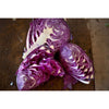 Red Express Cabbage (60 Days) - Vegetables