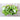 Red Gruner Purslane (50 Days) - Vegetables