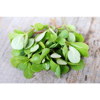 Red Gruner Purslane (50 Days) - Vegetables