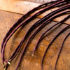 Red Noodle Yard Long Bean (Heirloom 85 Days) - Vegetables
