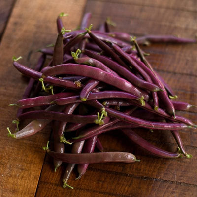 Red Swan Bush Bean (55 Days) - Vegetables