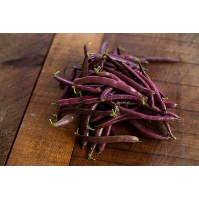 Red Swan Bush Bean (55 days) - Vegetables