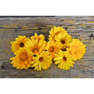 Resina Calendula Organic - Flowers