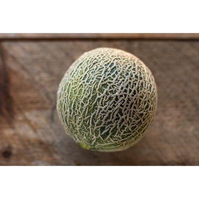 Rocky Ford-Green Flesh Melon (Heirloom 75 Days) - Vegetables