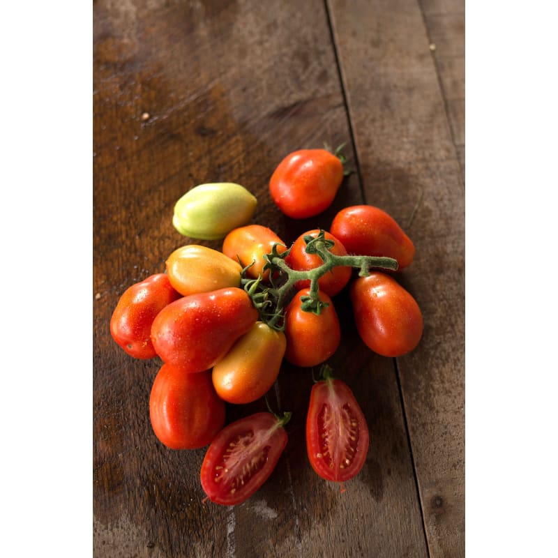 Roma Tomato (78 Days) - Vegetables