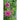 Rose Pirouette Petunia - Flowers