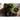 Rouge DHiver Lettuce (Heirloom 60 Days) - Vegetables